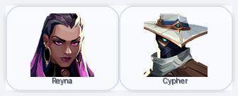 NA | 5 Skins + 2 Agents | Infinity Spectre / Infinity Bulldog / Aerosol Shorty / Aerosol Bucky | Full Access